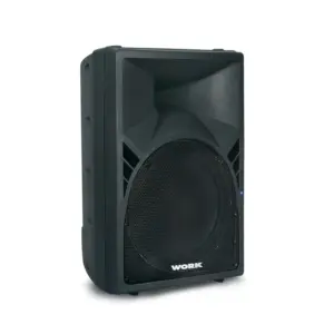 WORK Caja pasiva 600W de 12"